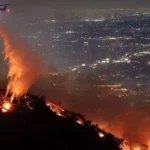 Empat Orang Tewas dalam Kebakaran Hutan Dahsyat di Korea Selatan